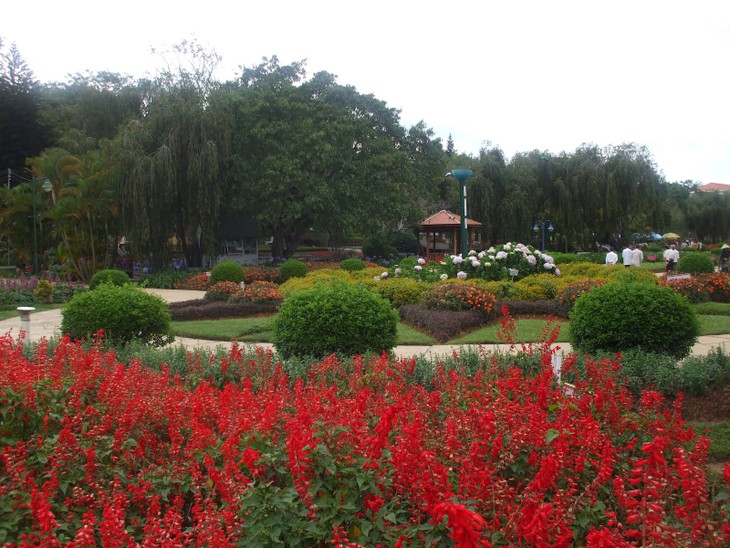 Visiting Da Lat - ảnh 3